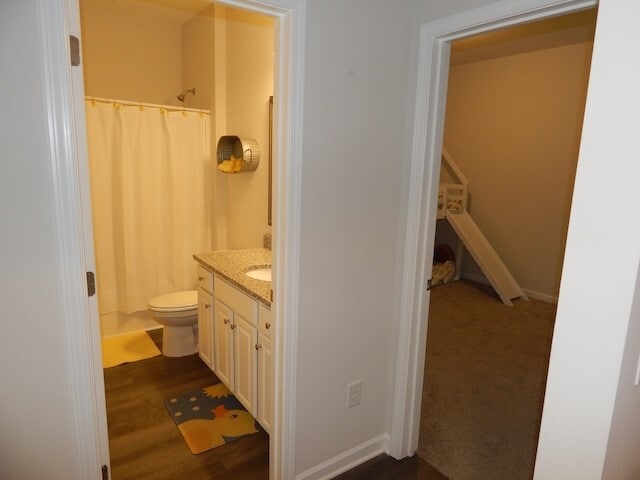 229 Carvel Trl in Seneca, SC - Building Photo - Building Photo