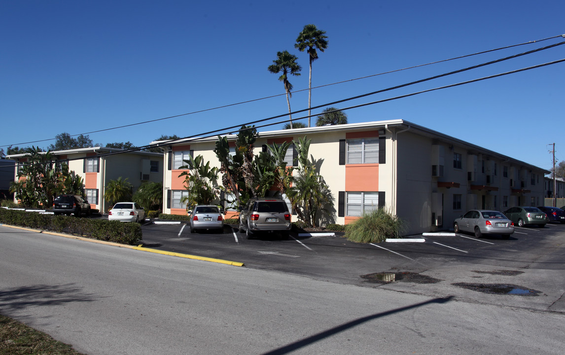 Palma Vista Apartments in Tampa, FL - Building Photo