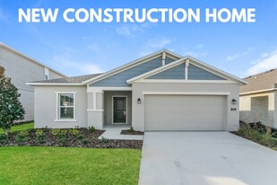 386 Puma Lp in Groveland, FL - Building Photo