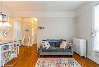 313 S Maple Ave in Oak Park, IL - Building Photo - Building Photo