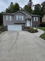 7809 Elkton Ln in Powell, TN - Building Photo