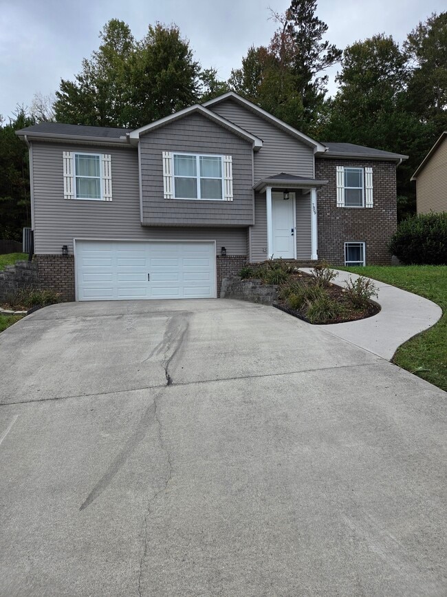 property at 7809 Elkton Ln