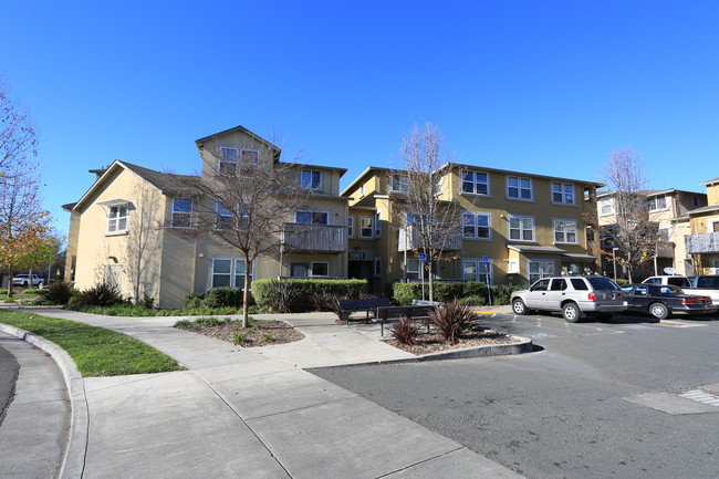 Olive Grove Apartments in Santa Rosa, CA - Building Photo - Building Photo