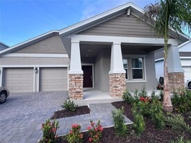 2513 Peace Of Mind Ave in Kissimmee, FL - Building Photo