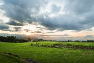 1949 W Kuiaha Rd in Haiku-Pauwela, HI - Building Photo - Building Photo