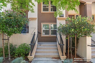 38989 Primula Terrace in Newark, CA - Building Photo - Building Photo
