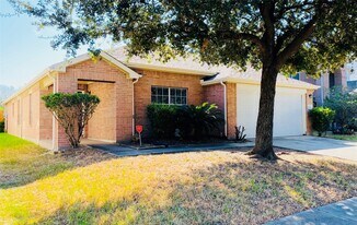 19422 Remington Wick Ct in Houston, TX - Building Photo