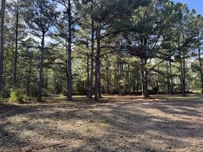 1595 Venson Rd in Brooklet, GA - Building Photo - Building Photo