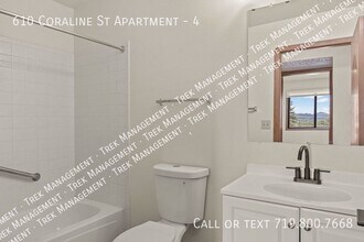 610 N Coraline St, Unit 4 in Woodland Park, CO - Building Photo - Building Photo