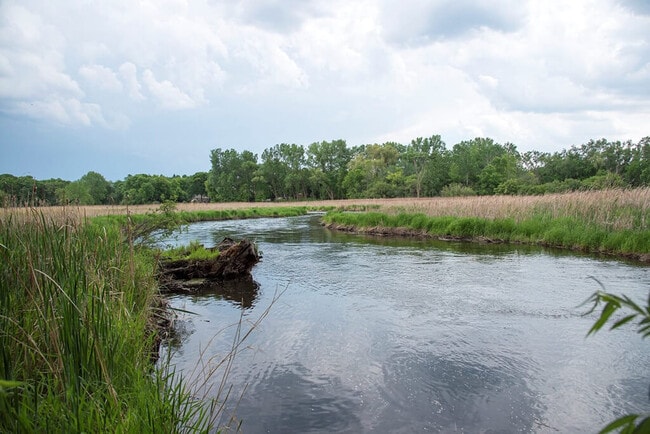 Overlook on the Creek