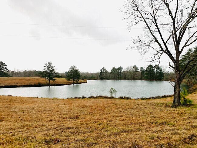 158 Ashley Ln in Ramer, AL - Building Photo - Building Photo