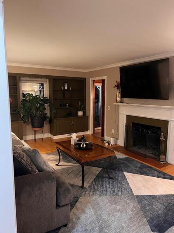 property at 28 Chelmsford Rd