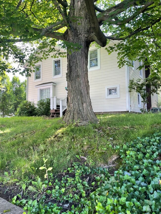 297 High St, Unit 299 in Wadsworth, OH - Building Photo - Building Photo