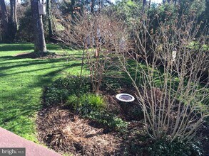 9119 Buckner Rd in Alexandria, VA - Building Photo - Building Photo