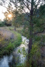 9491 Miller Creek Rd in Missoula, MT - Building Photo - Building Photo