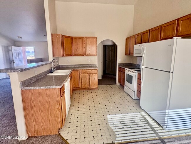 981 Julia Ln in Fernley, NV - Building Photo - Building Photo