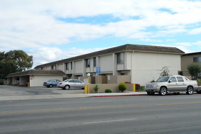 Maple Terrace Apartments in Salinas, CA - Building Photo - Building Photo