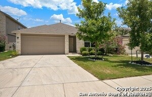 432 Snowy Egret in San Antonio, TX - Building Photo