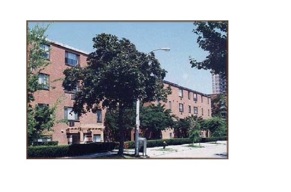 230 Babcock St in Brookline, MA - Building Photo - Building Photo