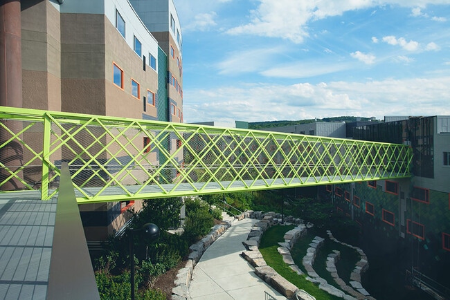 Collegetown Terrace in Ithaca, NY - Building Photo - Building Photo