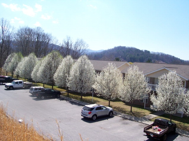 119 Boone Ridge Dr in Burnsville, NC - Foto de edificio - Other