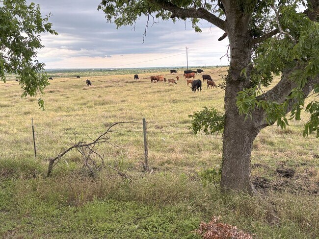 104 Picasso Dr-Unit -B in San Marcos, TX - Foto de edificio - Building Photo