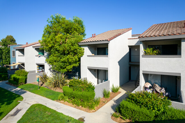 Veranda Ontario in Ontario, CA - Foto de edificio - Building Photo