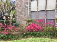 8100 Cambridge St photo'