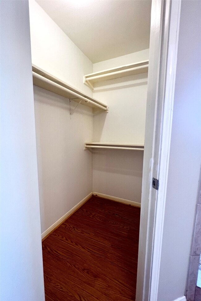 3511 Palm Grove Dr in Missouri City, TX - Building Photo - Building Photo