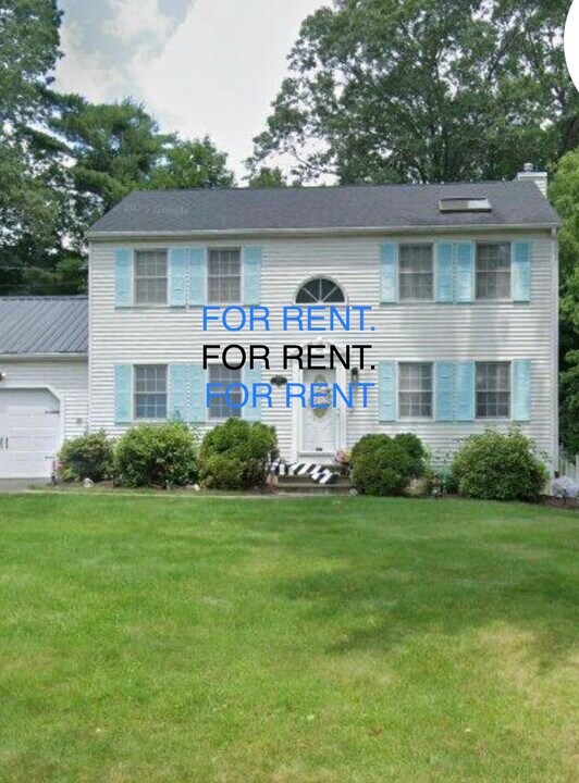 20 Prouty St in Springfield, MA - Building Photo