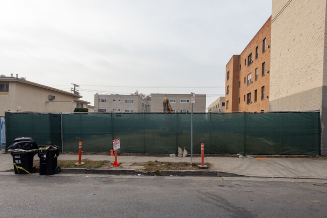 845 S St Andrews Pl in Los Angeles, CA - Building Photo - Primary Photo