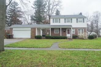 409 Lombard St in Albion, MI - Foto de edificio - Building Photo