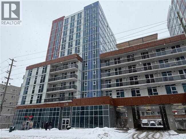 239 Albert St in Waterloo, ON - Building Photo - Building Photo