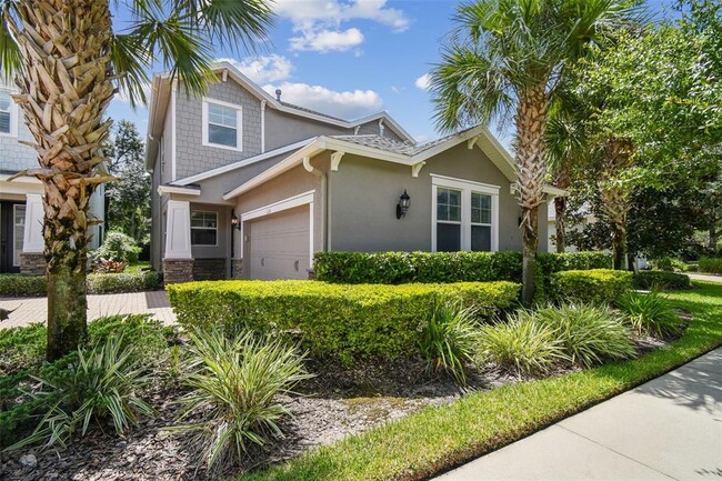 11224 Roseate Dr in Tampa, FL - Building Photo - Building Photo