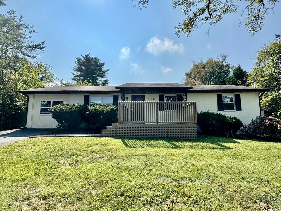 228 Brampton Rd in Knoxville, TN - Building Photo
