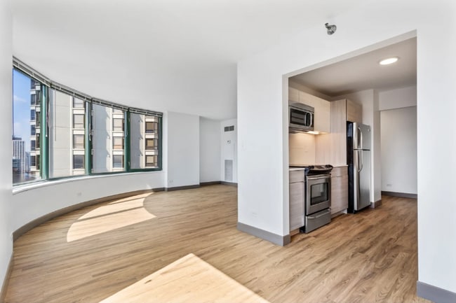 463 E Ohio St in Chicago, IL - Building Photo - Building Photo