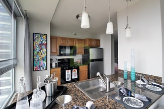 244 N Canal St in Chicago, IL - Building Photo - Building Photo