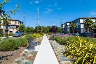 Village at Vintage Ranch in American Canyon, CA - Building Photo - Building Photo