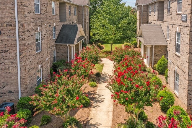 The Phoenix in Elon, NC - Foto de edificio - Building Photo
