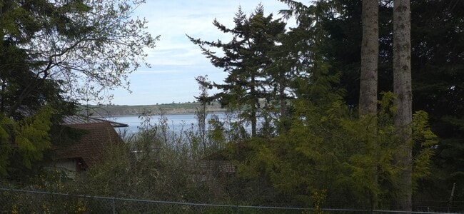 251 Spring View Pl in Sequim, WA - Building Photo - Building Photo