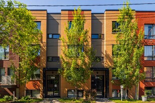 2208-2216 Lespérance Rue in Montréal, QC - Building Photo