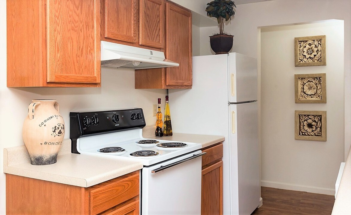 Ridgedale Townhomes in Knoxville, TN - Building Photo