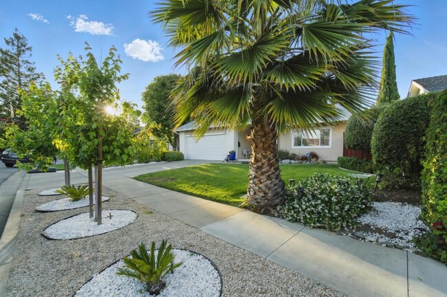 3821 Abbey Ct in Campbell, CA - Building Photo - Building Photo