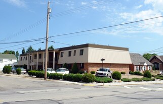 310 Wilson Ave in Beaver, PA - Building Photo