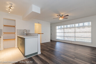 Shibui Apartments in Houston, TX - Building Photo - Building Photo