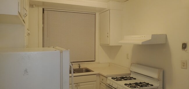 6519 S Eberhart Ave, Unit Unit1 in Chicago, IL - Building Photo - Building Photo