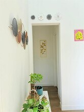 11807 Shimmering Sea Dr in Austin, TX - Building Photo - Building Photo