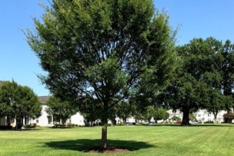 The Village at Whitehurst Farms in Norfolk, VA - Building Photo - Building Photo