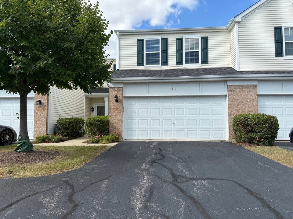 161 Willoughby Ct in Yorkville, IL - Building Photo