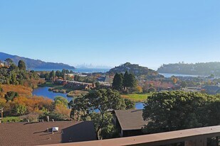 40 Harbor Oak Dr in Tiburon, CA - Building Photo
